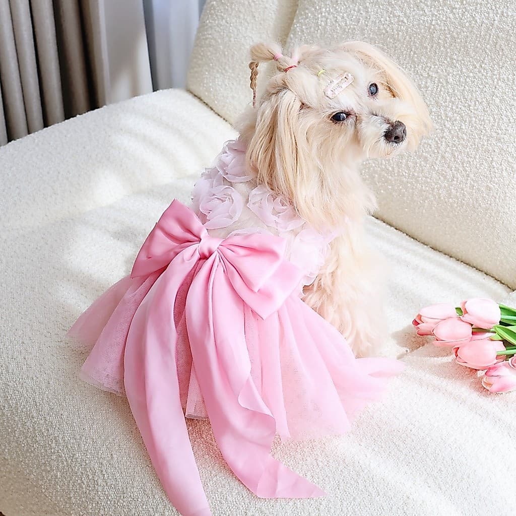 Vestido rosa para gatos e cães, adequado para primavera e verão, roupa confortável e amiga da pele para cães de estimaçã
