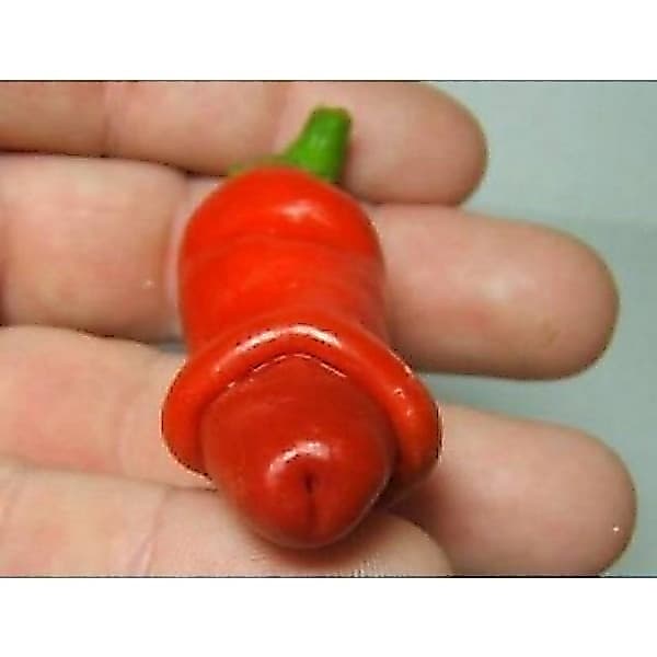 300 Cápsulas Sementes de Pimenta Peter Original | Alta Germinação | Para Plantio em Vaso e Horta | Picante