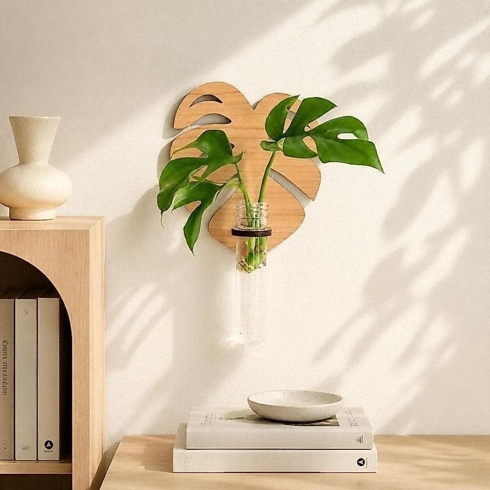 Plantador Montado Na Parede , Prateleira De Hidropônico De Vaso , Suporte De Ornamentos Para Casa De Leopardo Oco