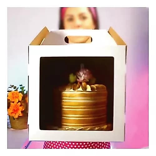 Cake Box -22x22cm (Base) x22cm (Altura) - 5 Unidades