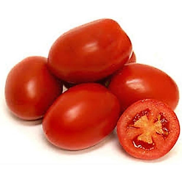 Tomate Italiano Napoli Resiste Doenças! 100 Sementes