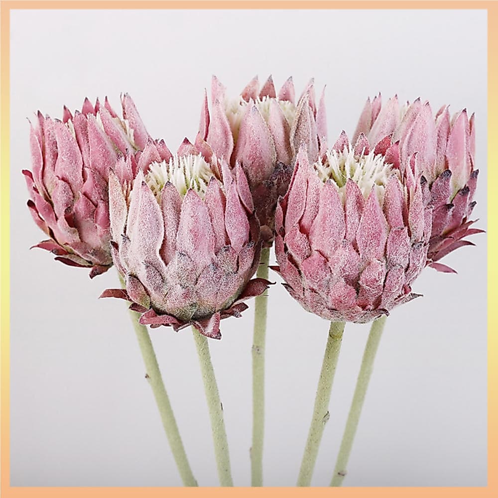 Flor De Alcachofra De Plástico Artificial , Haste Única , Pelúcia Falsa , Grande , Para Escritório , Casa , Decoração De