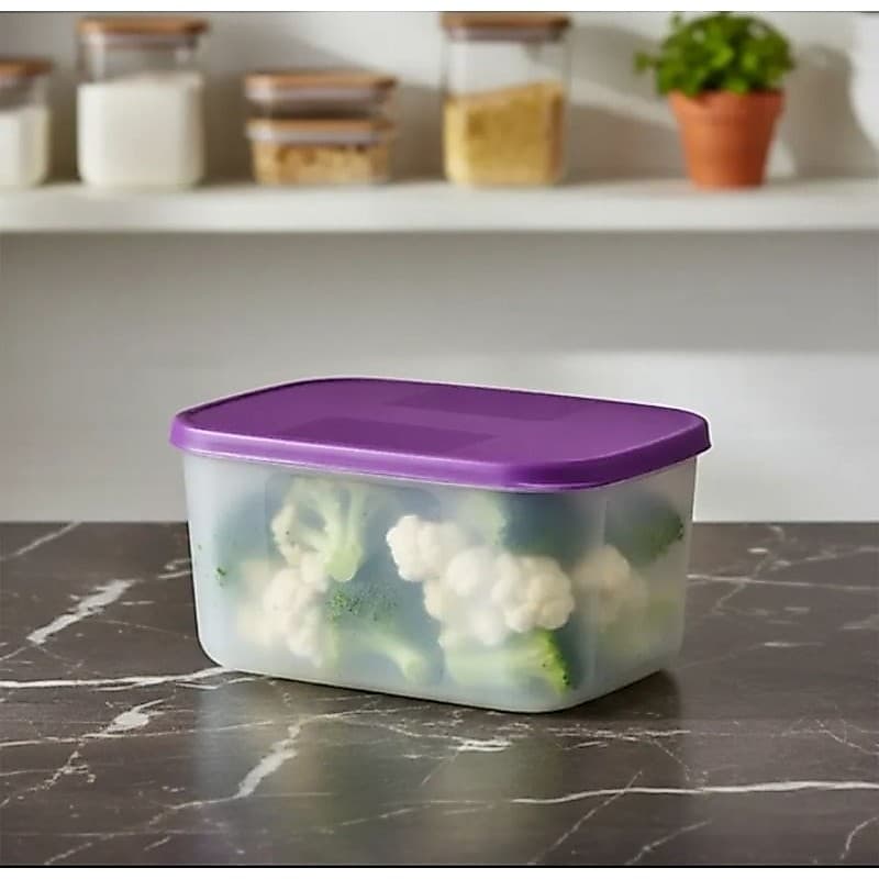 Tupperware Freezer Mate 650ml