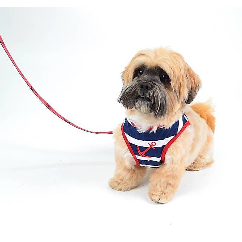 Peitoral para Cachorro Marinheiro Emporium Distripet | Peitoral Pet para Passeio, Caminhada e Controle do Cão