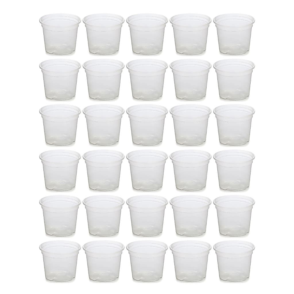 Kit 24 Vasos Transparentes Plástico Orquídea Adulta Pote 15 Com Furos Incolor