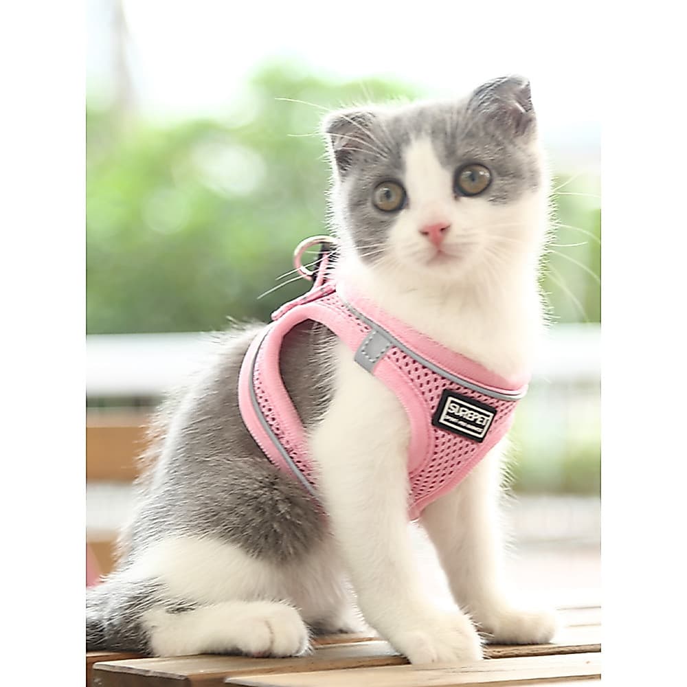 Corda de tração para gatos, colete Anti-quebra, estilo peito, costas, suprimentos de verão, corda de caminhada para gato