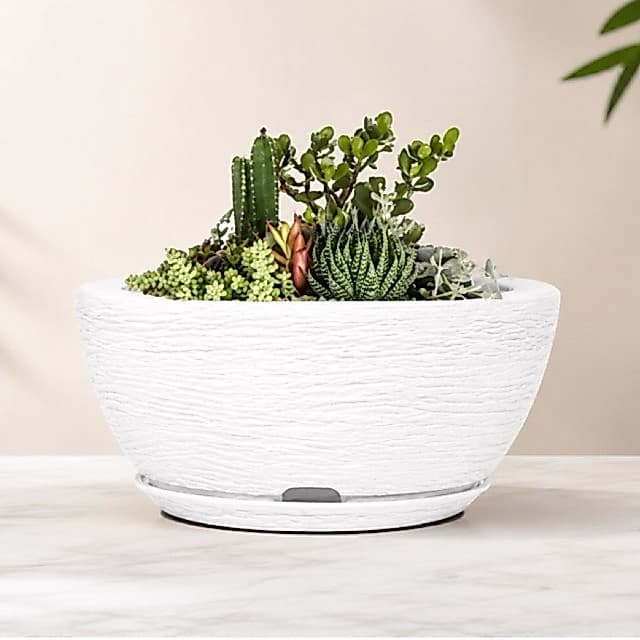 Vaso  Bacia para Plantas Texturizada Decorativa Polietileno