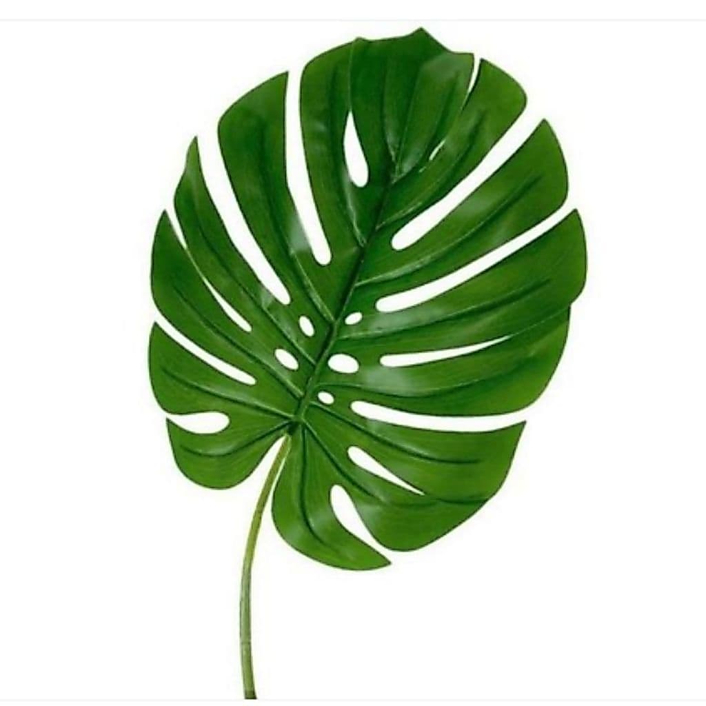 Costela De Adão Folha Grande Para Decoração Toque Real Artificial