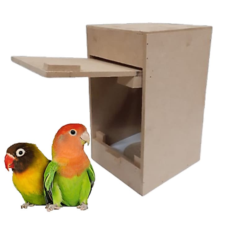 Ninho Vertical Canário Agapornis Madeira MDF com Espia Periquito Agaporne +Ganchos