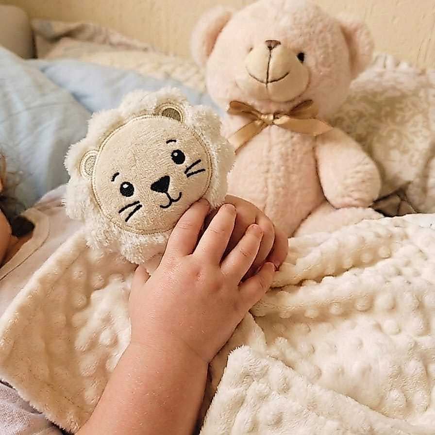 Naninha para Bebê  Paninho de Bichinho Soft Antialérgico Super Macia Tecido Duplo 100% Algodão