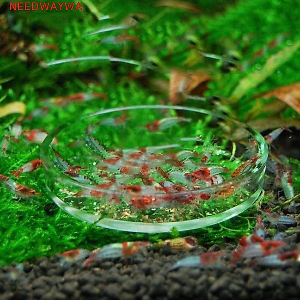 NEEDWAYWA Alimentador De Camarão 6.5/8.5cm 1PC Acessórios De Aquário Acrílico Durável Transparente Prato De Alimentação