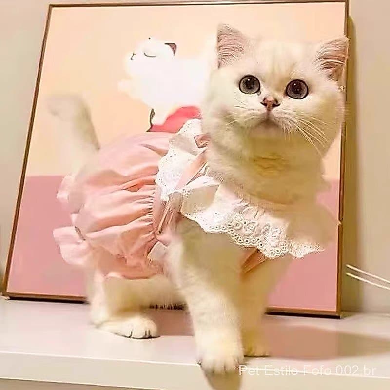 Roupas para gatos, roupas para cães, roupas finas de renda para animais de estimação, roupas para cães, roupas para filh