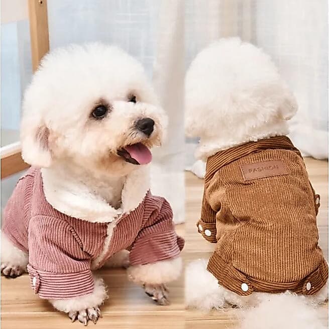 Roupas para Cães de Outono e Inverno, Casaco de Veludo Espesso e Quente para Cães de Estimação, Roupas para Chihuahua, Y