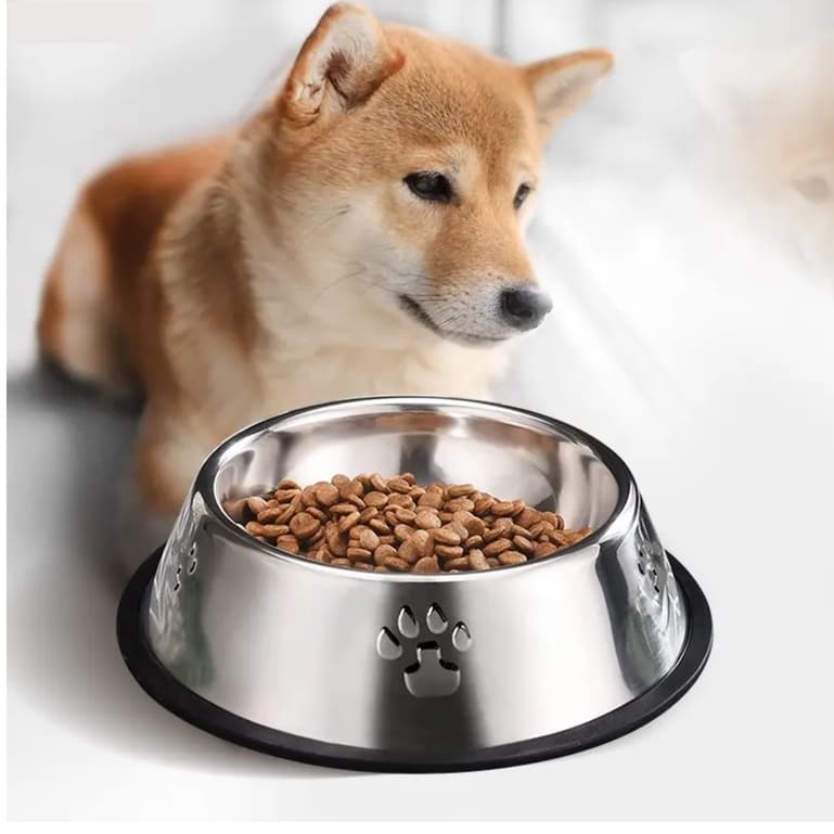 Comedouro/Bebedouro inox Tigela pet Cachorro Para Cães E Gatos - antiderrapante