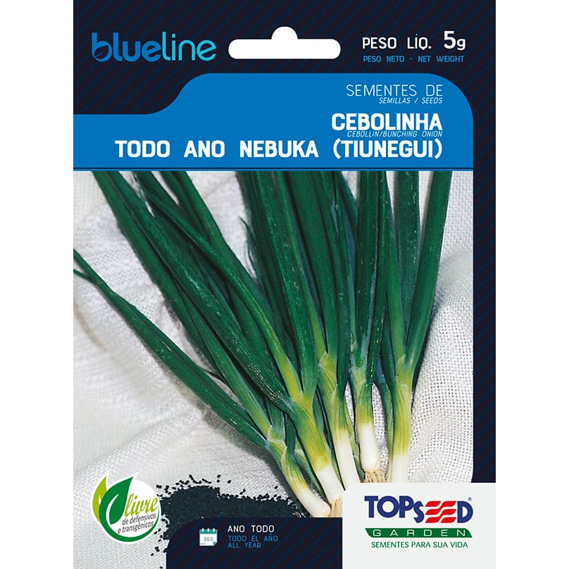 Sementes de Cebolinha Todo Nebuka Tiunegui 5 Gramas Temperos Saladas Horta