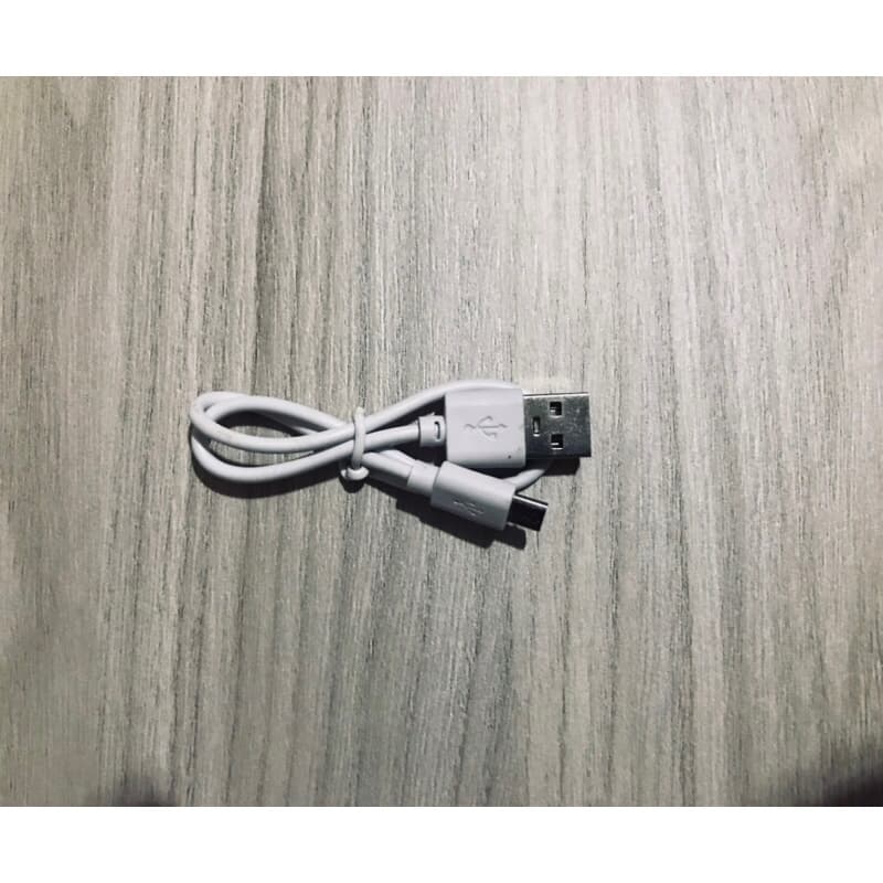 Cabo Usb Carregador com Micro Usb de 30cm
