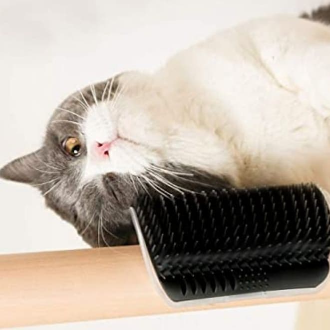2 Peças Escova Tira Pelos Pet Parede Gatos Massagem Pet Promoção