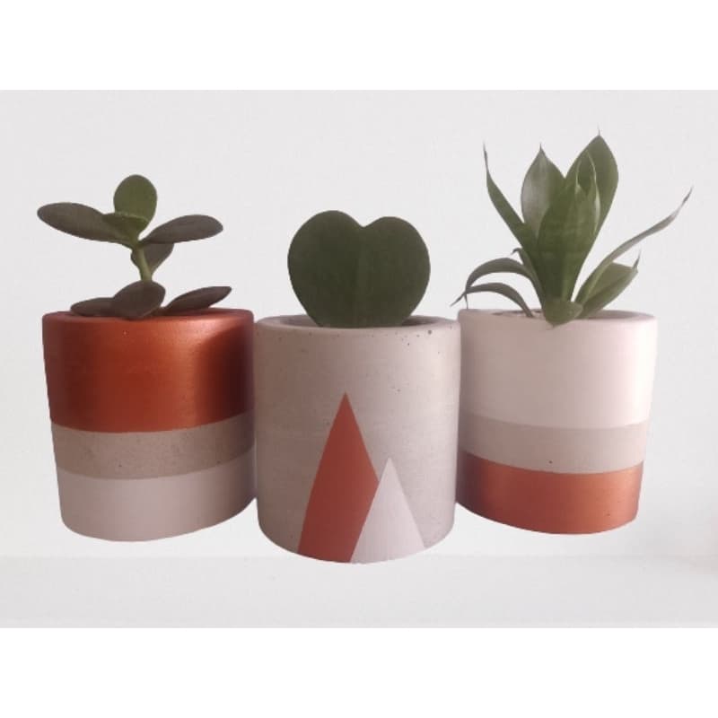 Trio de Vasos em Concreto para Pequenas Plantas, Cactos e Suculentas