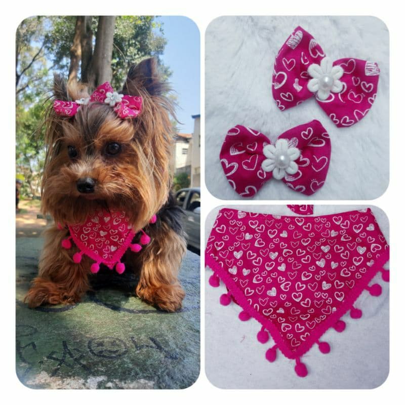 Bandana Pet com Pompom Lenço de Pescoço + Laço