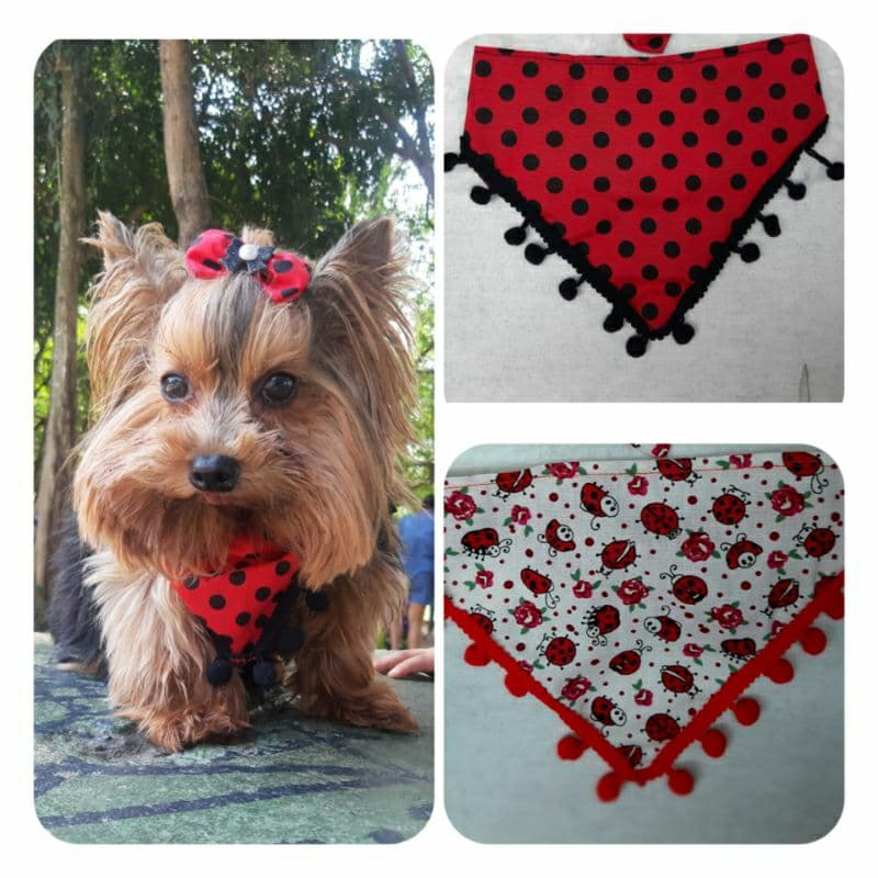 Bandana de Pescoço Pet para Cachorro porte Pequeno e Médio