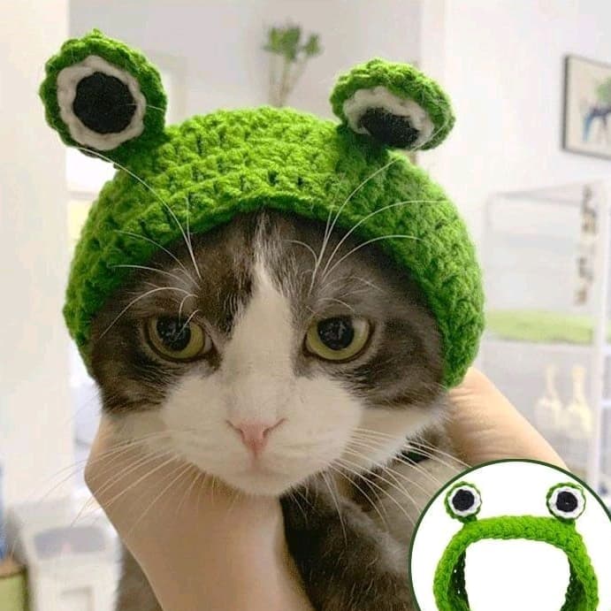 Chapéu Gorro de crochê para Gatos acessórios para Pets Sapinho