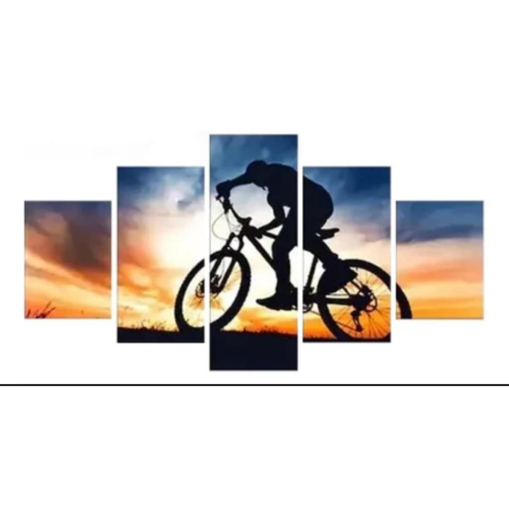 quadro decorativo ciclista ciclismo paisagem