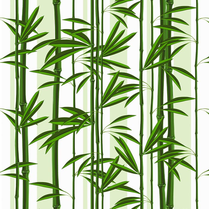 Papel De Parede Adesivo para Quarto Folhagens Bambu Tons Verde Listrado Decoração Floresta