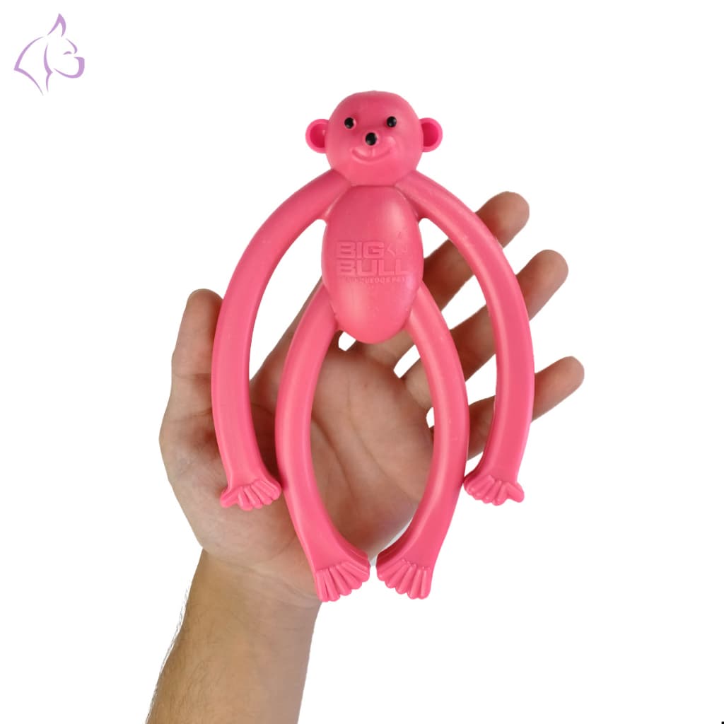 Brinquedo Cachorro Macaco Pet Interativo Macaquinho Anti Stress Maciço Porte Pequeno Big Bull Pet