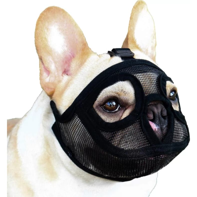 Focinheira Especial para Cães de Focinho Curto: Bulldog Pug Maltês Boxer Terrier Pequinês Cães Braquicéfalos