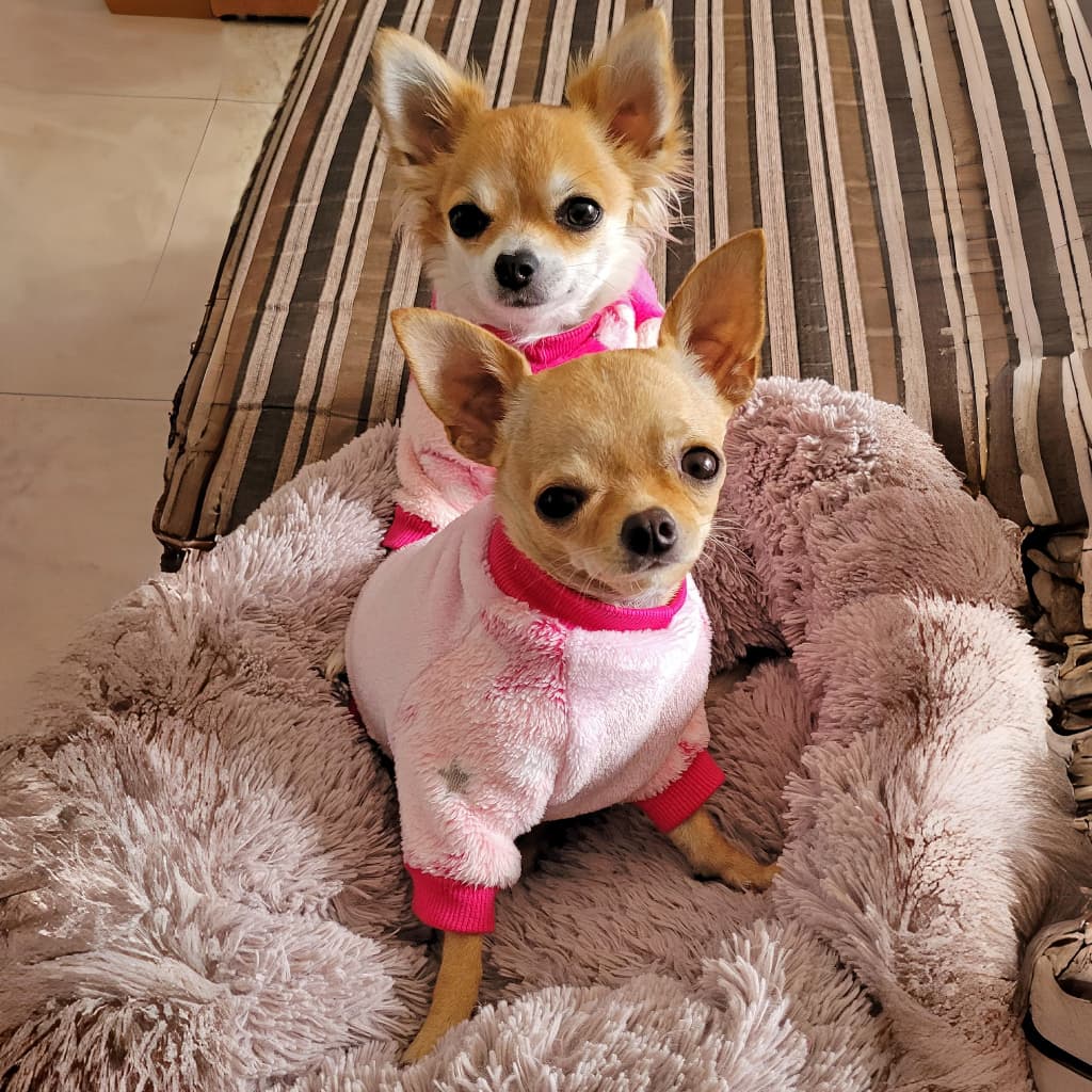 Roupa pet casaco de fleece para cachorro e gato inverno