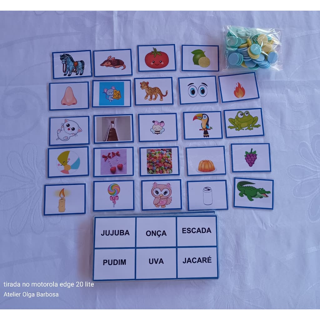 Recurso Pedagógico Plastificado/Bingo Figuras e Palavras/Código:035