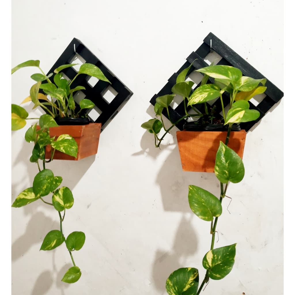 Kit /2 Floreira Jardim vertical suporte para plantas