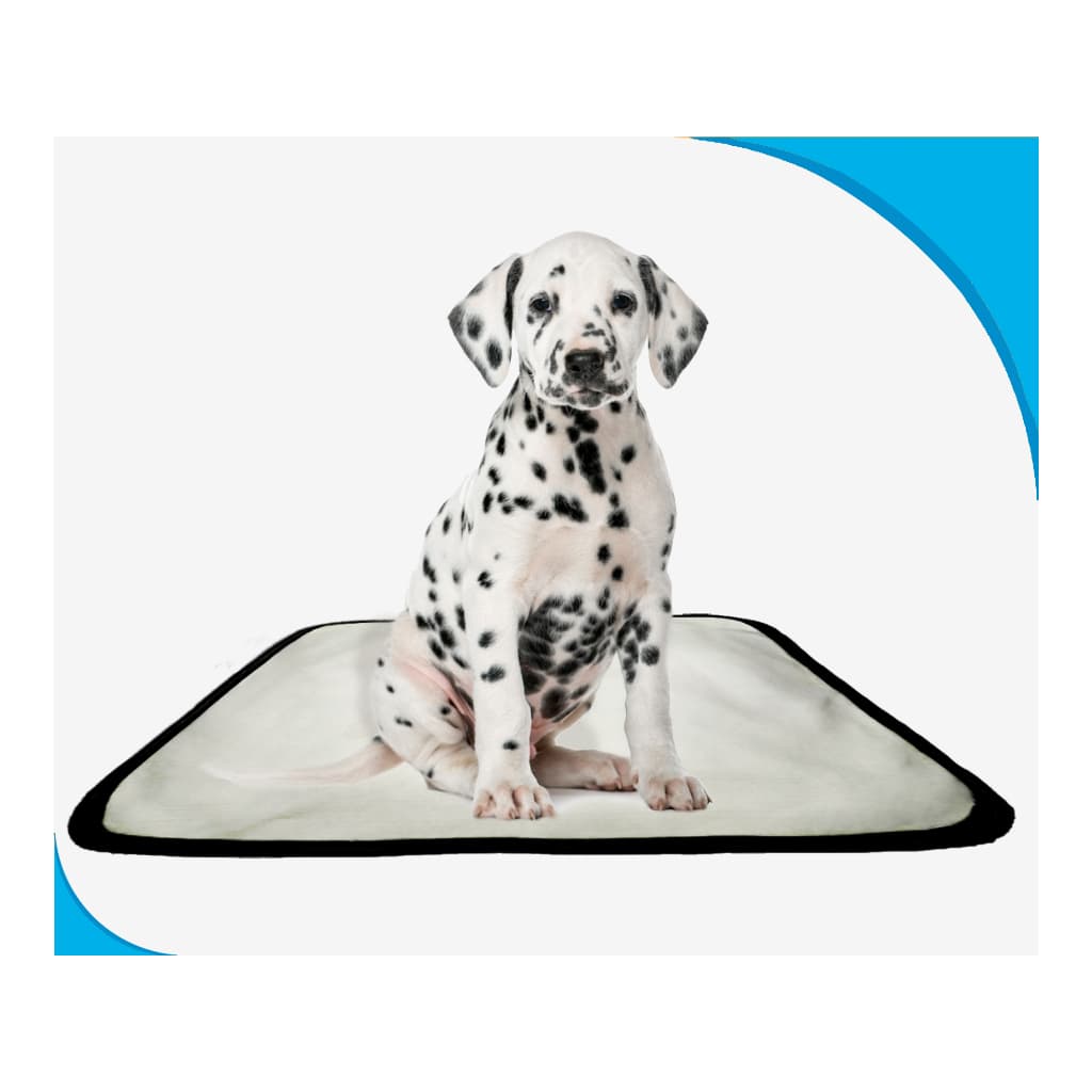 Tapete higiênico lavável P super absorção, Tapete para Animais de Estimação, para Cães 1 unidade