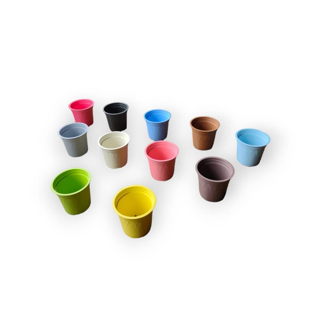 Mini Vasos Coloridos Suculenta Decoração Cactos 11un