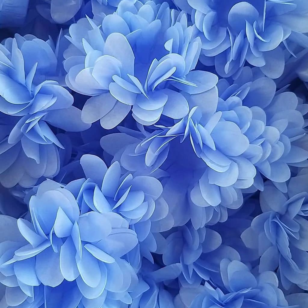 100 Forminha Para Doces Fino Margarida Jasmine Volumosa