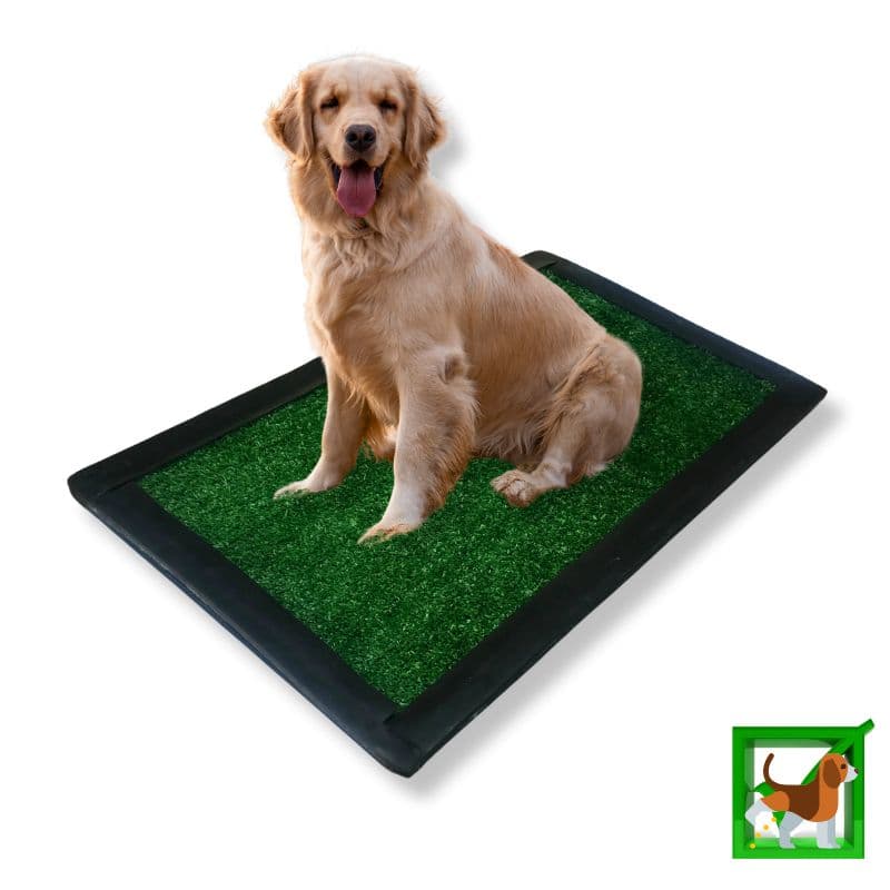 Tapete Higiênico 60cmx40cm Pet Para Cachorro Fazer Xixi Grama Lavável Sanitário Canino Para Cães