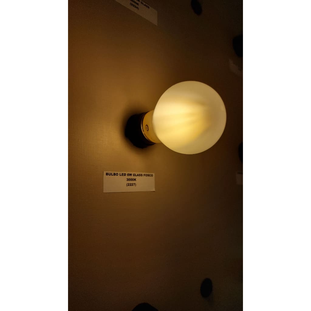 Lâmpada Bulbo Led 6w Filamento Branco quente e branco frio 3000K / 6500K Vidro Fosco E27 Bivolt