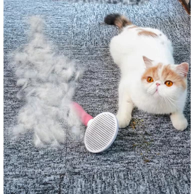 Escova Removedora Tira Pelos Dos Pets /Vestuário Removedor De Pêlos /Luva Nano Magnético  Pelos/ Rolo Tira Pelos Para Roupas Tecidos Lavável/Escova Coçador Pet Parede Gato Massagem Brinquedo