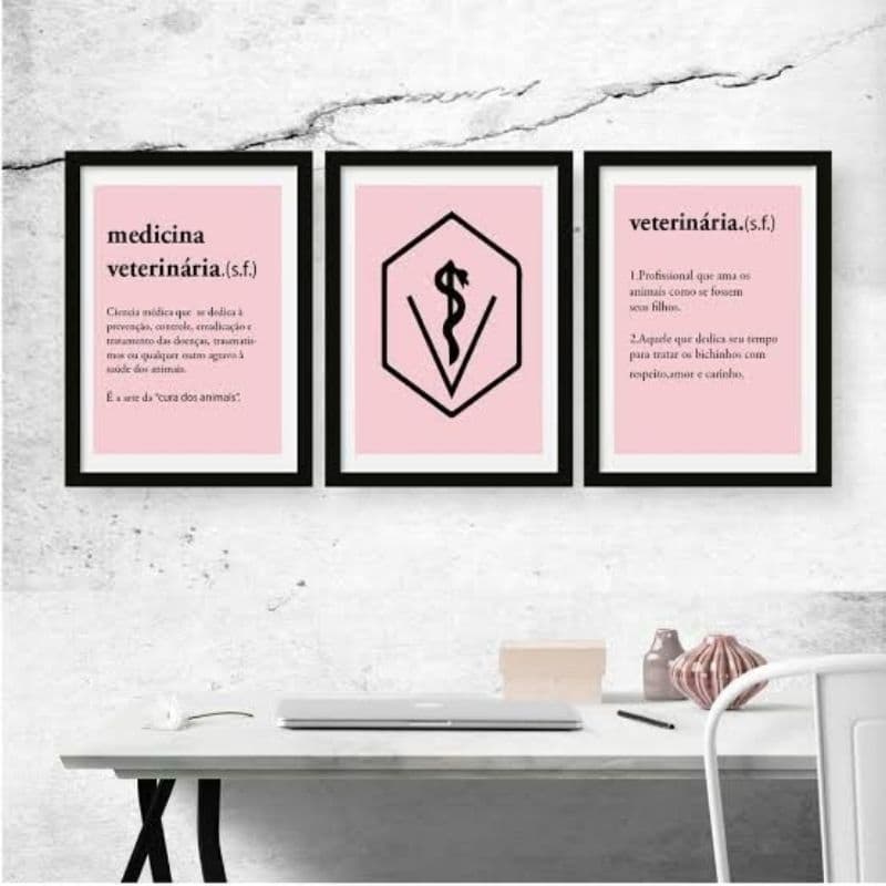 Kit 3 Quadros decorativos medicina veterinária Quadro decorativo 3 peças em mdf Placas decorativas profissão modernos