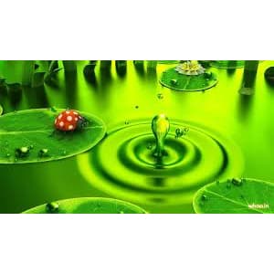 Essência Green Water Para Aromatizador de Ambiente, Home Spray Cremes, Sabonetes e Cosméticos - 50ml