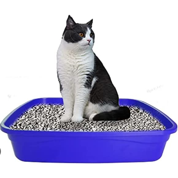 Caixa Bacia de Areia Tipo Banheira para Gatos - 10 L