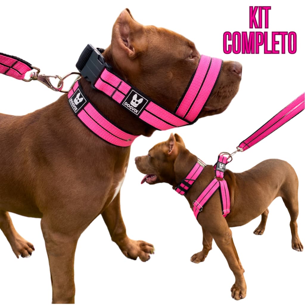Novo Kit Premium Peitoral Focinheira Coleira e Guia Para Cachorros Raças Medias e Grande