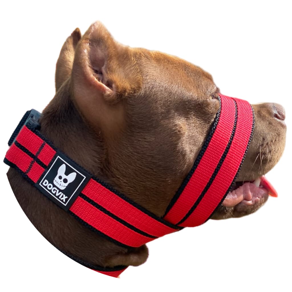 Nova Focinheira de Passeio Para Cães Fácil De Usar Regulável e Super Confortável