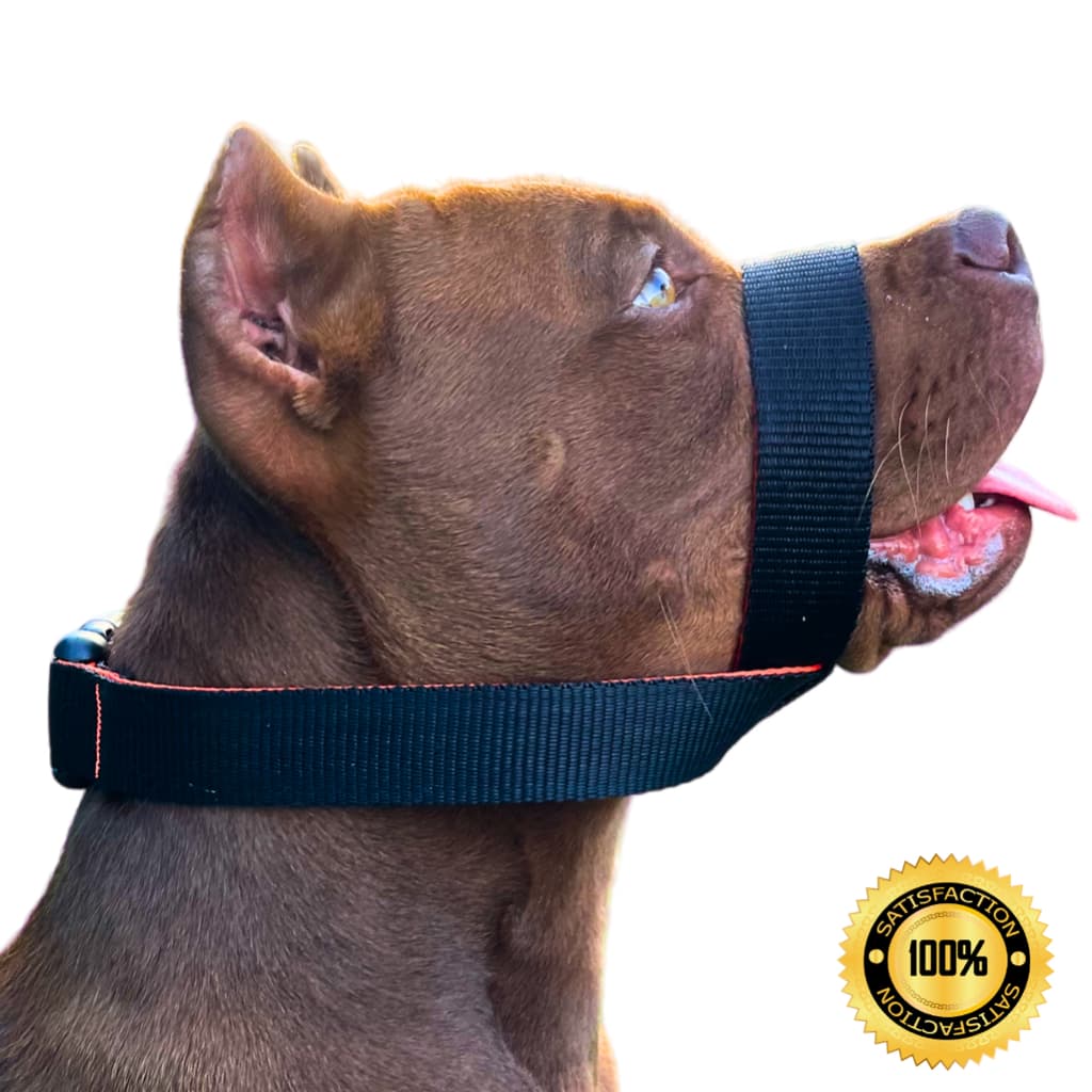Focinheira Pratica e Segura Para Cachorro Super Ajustável e Confortável