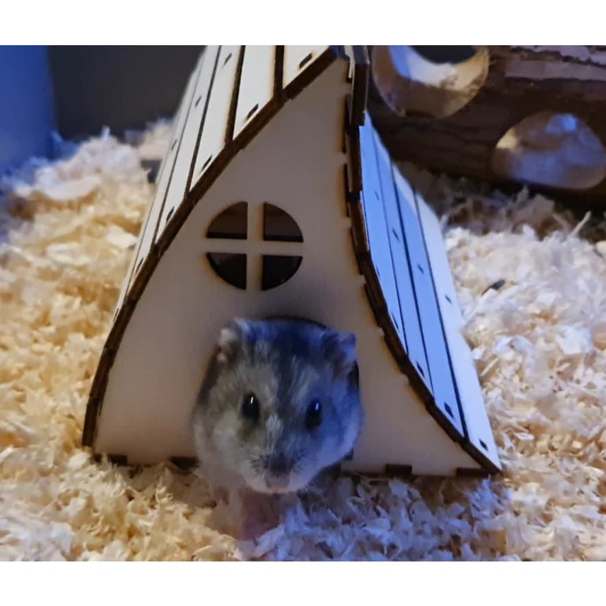 Casinha para hamster,  porquinho da índia, roedores em geral