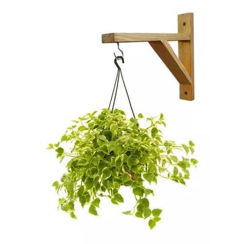 *PROMOÇÃO*SUPORTE  Arandela mão francesa luminária madeira com parafusos e buchas suporte para plantas macramê sabambaia