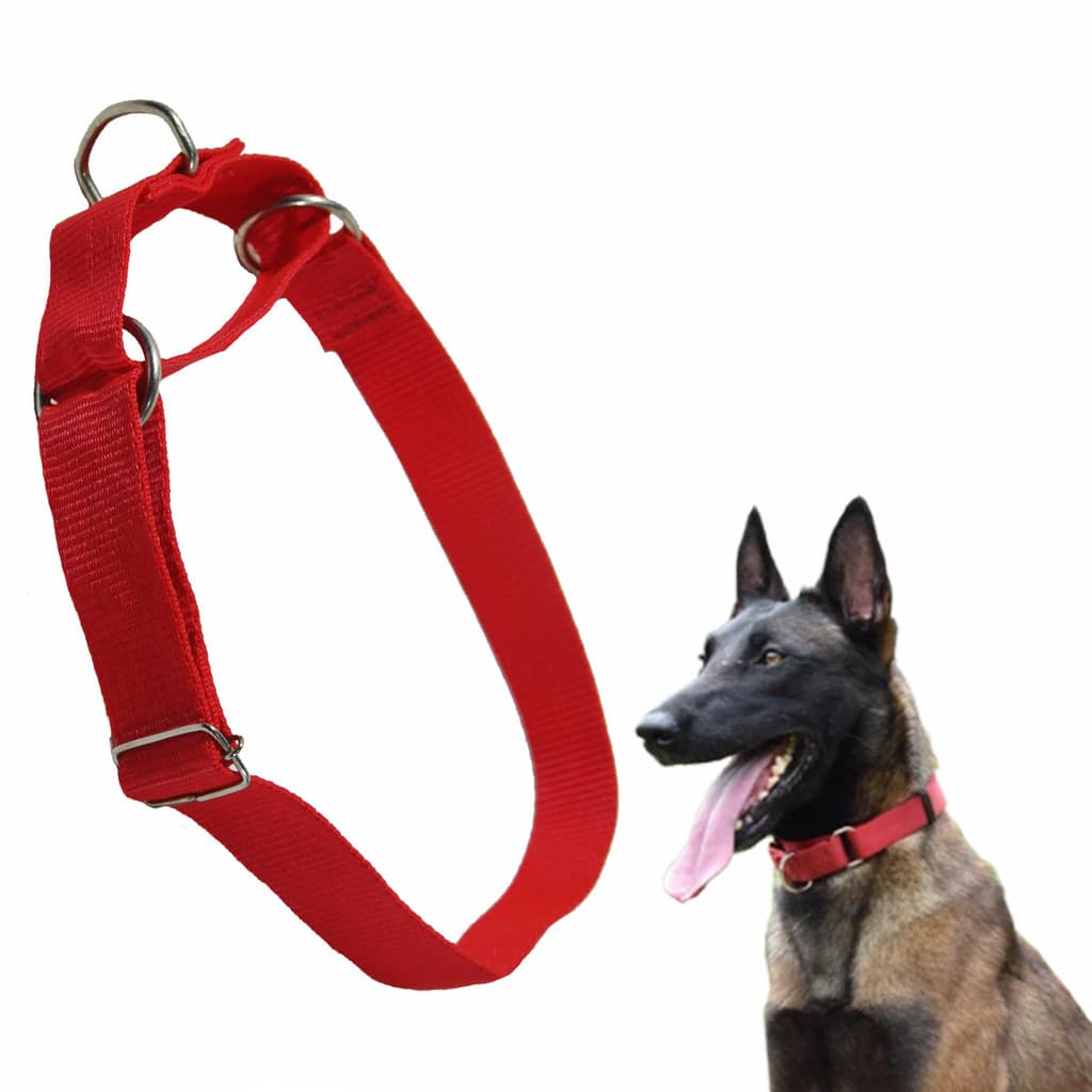 Coleira Enforcador para Cachorro Ajustável GG Nylon 42 a 75cm para Adestramento e Passeio