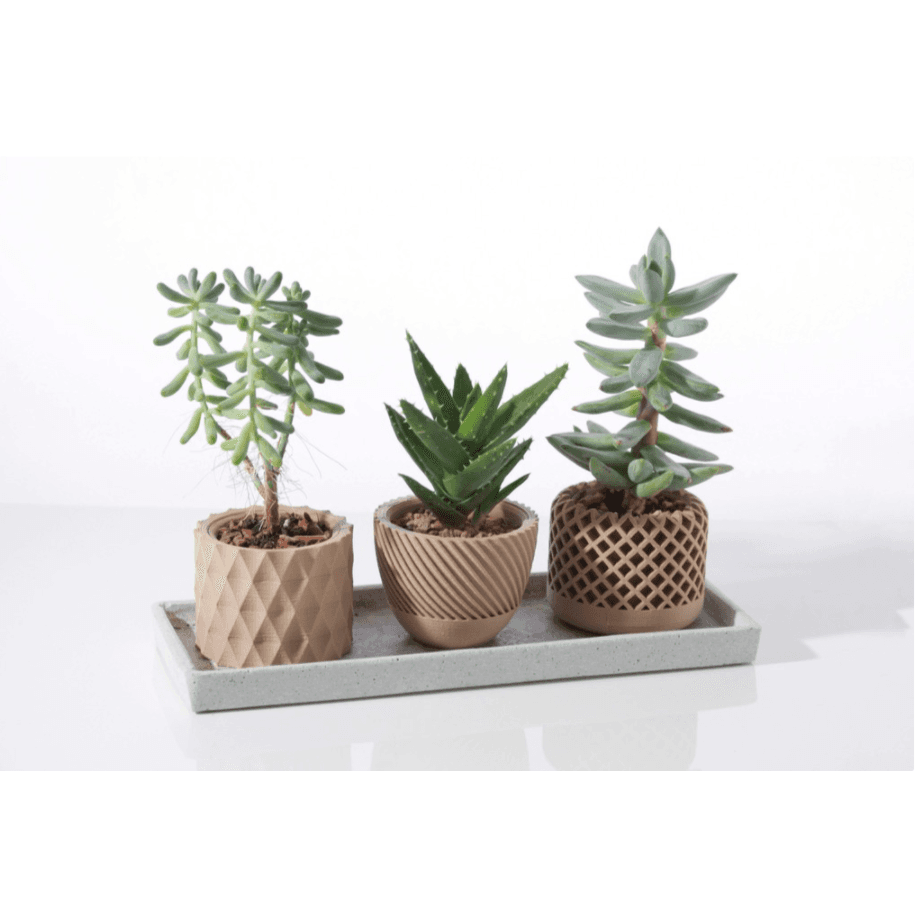 Kit Vasos Decorativos Geométricos Para Suculenta Super Elegante.