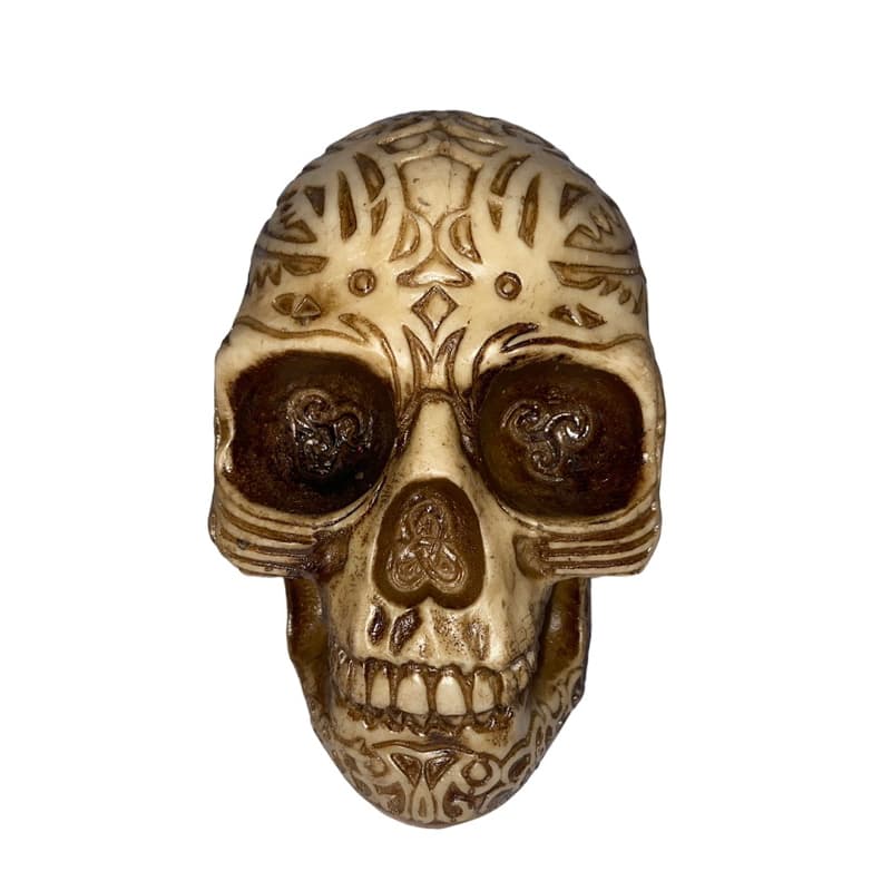 Crânio de Caveira, cabeça de caveira em Resina, peça decorativa 14cm
