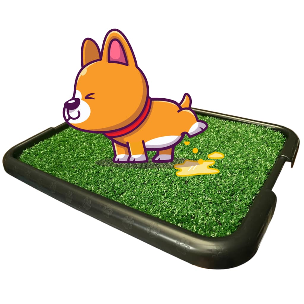 Sanitário Canino Pet Cachorro c/ Grama Sintetica Lavável Tapete Higiênico Xixi Dog Cães